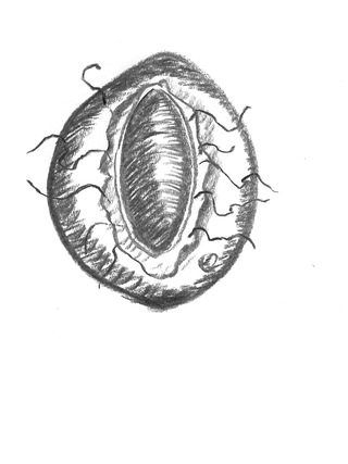 pod charcoal 42 x 30