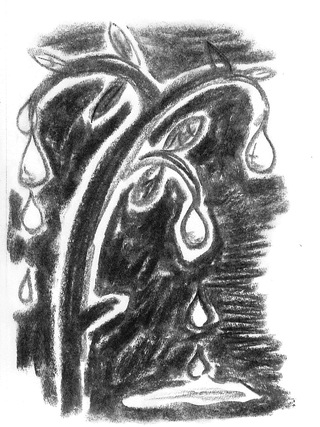 tree of tears charcoal 42 x30
